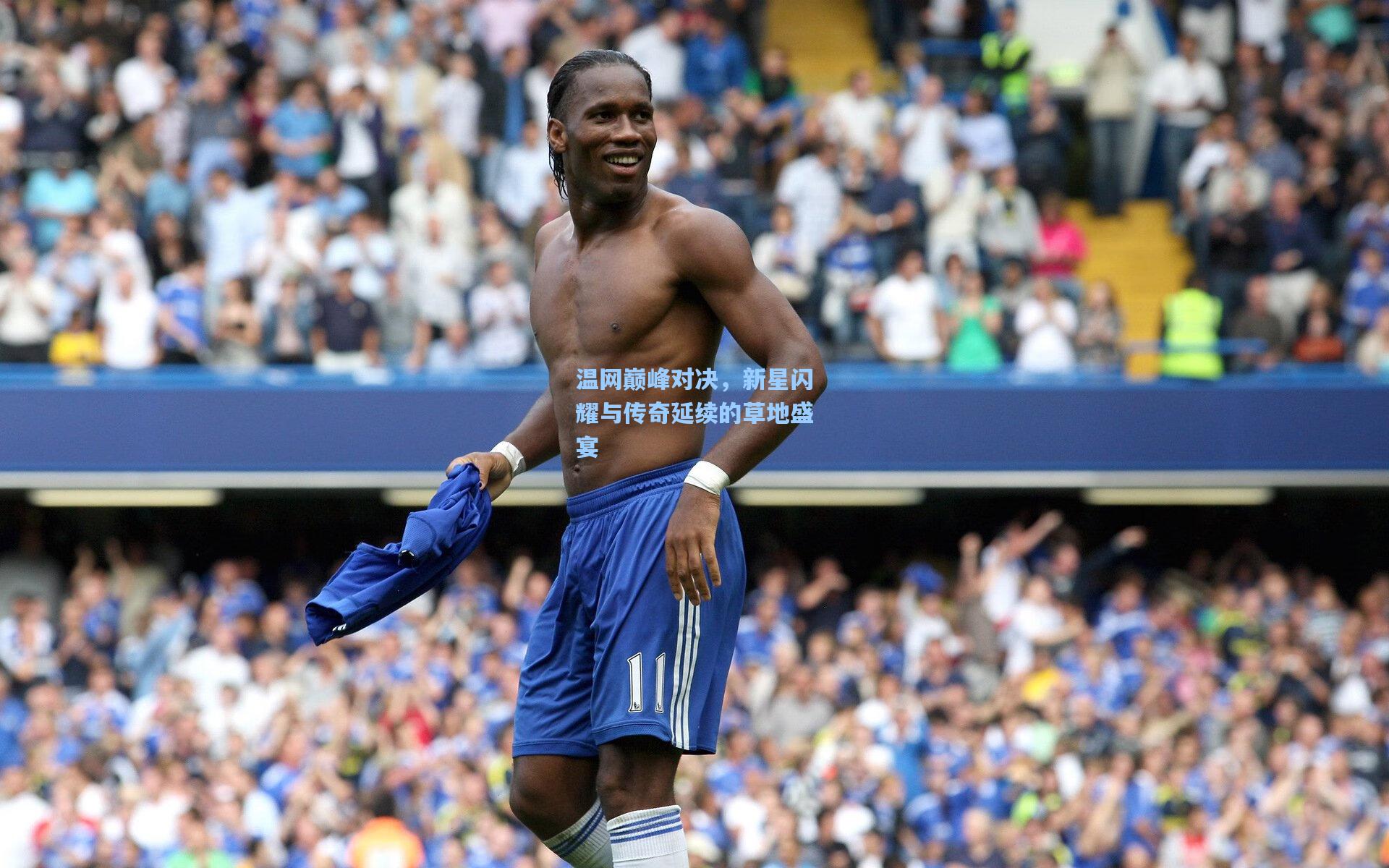 温网巅峰对决，新星闪耀与传奇延续的草地盛宴